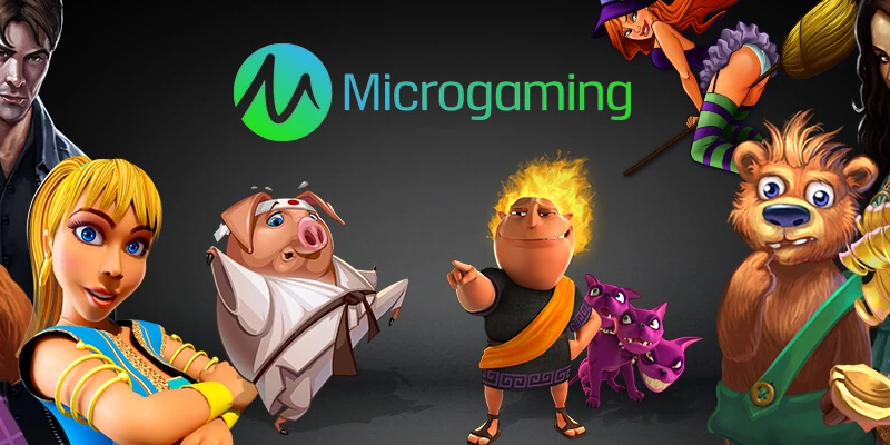 MicroGaming Slot